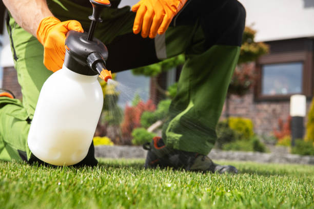 Best Flea Control Services  in Lloyd Harbor, NY