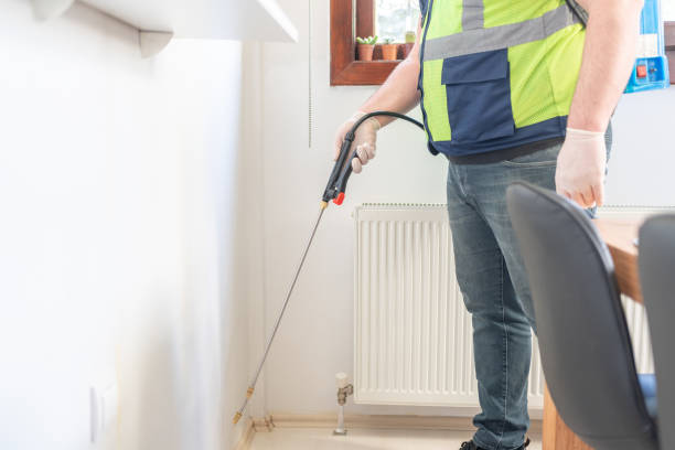 Best Termite Control Services  in Lloyd Harbor, NY