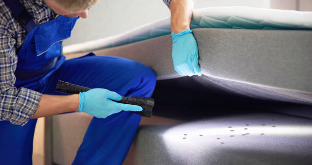 Best Commercial Pest Control Services  in Lloyd Harbor, NY